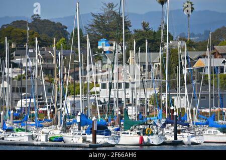 Paysage avec des bateaux à voile au Santa Cruz Harbour Yacht Club en Californie, Etats-Unis. Banque D'Images