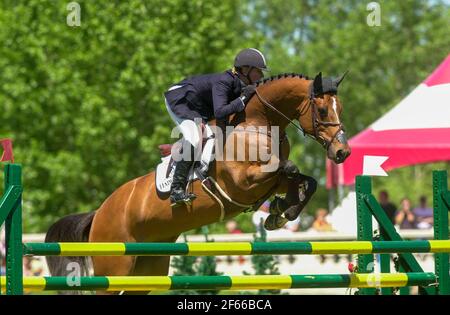 Spruce Meadows Continental 2004, Nexen Cup, Molly Ashe, États-Unis, circonscription de Naomi Banque D'Images