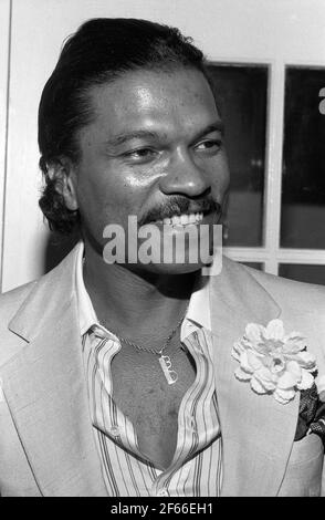 Billy Dee Williams Circa 1981 crédit: Ralph Dominguez/MediaPunch Banque D'Images