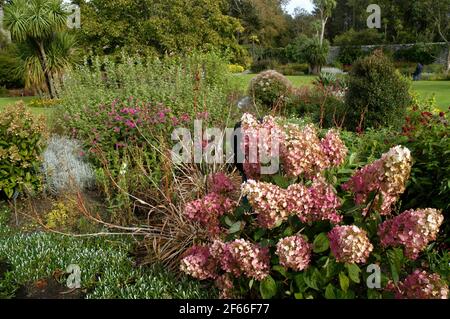 Logan Botanic Gardens, de Rhins of Galloway, Scotland, UK Banque D'Images