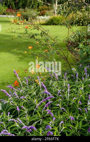 Logan Botanic Gardens, de Rhins of Galloway, Scotland, UK Banque D'Images