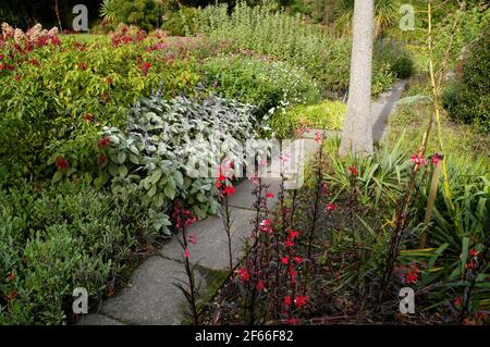 Logan Botanic Gardens, de Rhins of Galloway, Scotland, UK Banque D'Images