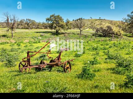 Cultivateur antique rouillé avec chapeau de cowboy sur la prairie Le Texas Hill Country Banque D'Images