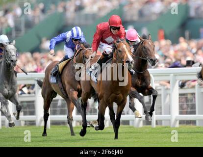 ROYAL ASCOT 2009. 1er JOUR. 16/6/09. PIQUETS ANNE THEQUEEN. RICHARD HUGHES À PROPOS DES GAINS POUR GARÇONS PACO. PHOTO DAVID ASHDOWN Banque D'Images