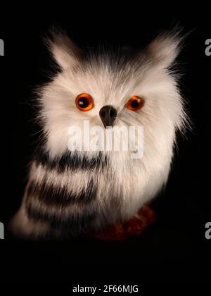 Figurines de jeu de hibou et perroquets de formes et de tailles différentes Banque D'Images