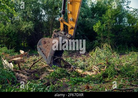 Excavatrices à chaîne jaune défrichant la végétation pendant la construction du Sud Gazoduc en Bulgarie le processus de déforestation est très dangereux pour o Banque D'Images