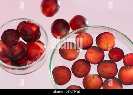 Boîtes de Pétri avec tranche de raisin rouge et peau de raisin. Isolé sur rose. Ingrédients pour bio cosmétique biologique. Banque D'Images