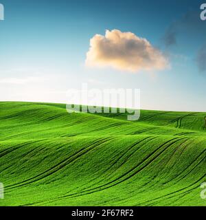 Paysage rural abstrait avec champs agricoles Banque D'Images