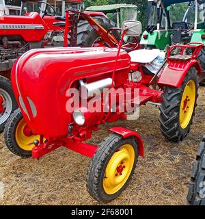 Itterbeck, Basse-Saxe, Allemagne - juin 19 2016 exposition de tracteurs classiques. Porsche Junior diesel Banque D'Images