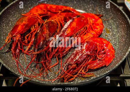 Carabineros, le roi rouge des crevettes dans la casserole. Grevenbroich, Allemagne Banque D'Images