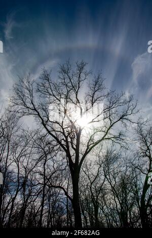 Un léger arc-en-ciel dans les nuages met en évidence le soleil pendant qu'il silhouette un arbre dans Southwoods Park, West des Moines, Iowa. Banque D'Images