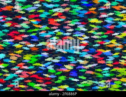 shoal de poissons multicolores sur une eau bleue. fond peint Banque D'Images