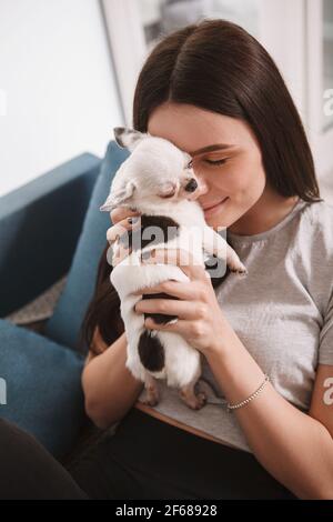 Gros plan vertical d'une femme heureuse qui se câlin avec adorable chiot chihuahua Banque D'Images