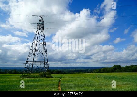 Pylône d'électricité et sentier de grande distance de Wealdway traversant le champ de blé jeune entre Bidborough et Haysden au début de l'été, Kent, Angleterre Banque D'Images