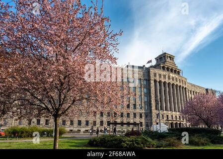 Bureau de poste central de Serbie avec cerisiers en fleurs à Belgrade, capitale de la Serbie, le 27 mars 2021 Banque D'Images