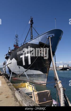 Le navire anti-baleinier Steve Irwin s'est amarré à Williamstown, Victoria. Maintenant un musée, un bar et un restaurant. Banque D'Images