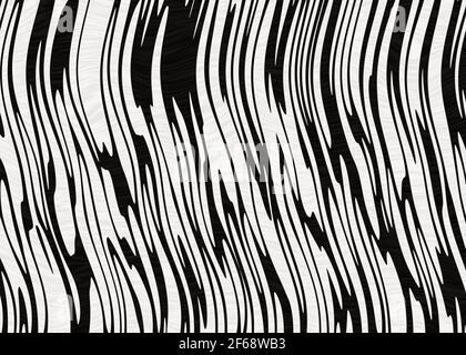 peau de zébrée noire et blanche Banque D'Images