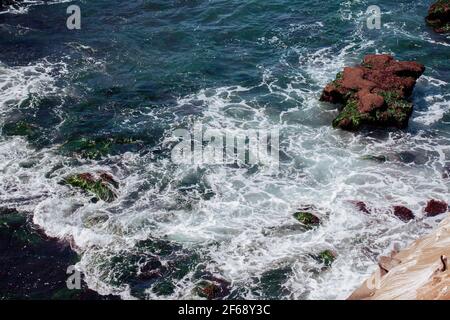 Roches couvertes de mauvaises herbes marines à marée basse. Vue sur l'océan Pacifique. Banque D'Images
