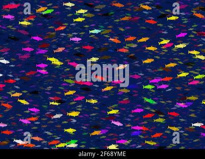 shoal de couleurs poisson sur une eau bleue Banque D'Images