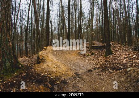 Piste de descente récemment construite dans la forêt avec des sauts et courbes étroites Banque D'Images