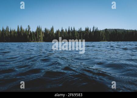 Vue au niveau du lac sur l'eau bleue et les ondulations avec le Green Treeline. Banque D'Images