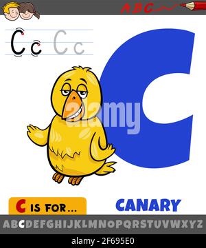 Illustration de dessin animé éducatif de la lettre C de l'alphabet avec canari animal de caractère oiseau Illustration de Vecteur