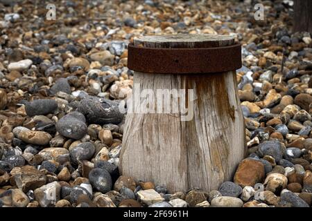 Gros plan d'une groyne en bois et métallique sur la plage de galets d'Eastourne, en Angleterre Banque D'Images