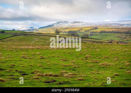 Wensleydale un après-midi de janvier, le parc national de Yorkshire Dales Banque D'Images