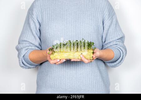 Femme tenant des micro-verts, brocolis pousses, cinq jours. Concept de jardinage à la maison et de verdure croissante à l'intérieur. Une alimentation saine et un mode de vie sain. Banque D'Images