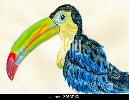 Dessin animé oiseau toucan, oiseau tropical dessiné à la main. Banque D'Images