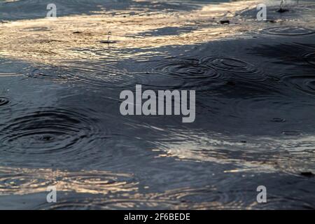 La pluie tombe éclaboussant, rebondissant, sur les surfaces d'eau en mouvement, gonflant doucement d'une rivière lente. Proche de. Banque D'Images