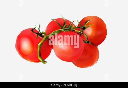 Tomates aquarelles. Aquarelle peinture, encore la vie, tomates sur fond blanc. Banque D'Images