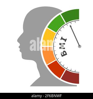 Résultat du niveau de lecture de l'index de masse corporelle. Échelle de couleurs avec flèche allant du rouge au vert. L'icône de l'appareil de mesure. Elément graphique coloré. Tête Illustration de Vecteur