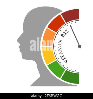 Échelle de gradient. Appareil de mesure de niveau de vitamine b 12. Enseigne tachymètre, indicateur de vitesse, indicateurs. Elément de jauge d'infographie. Silhouette de la tête de l'homme. Illustration de Vecteur