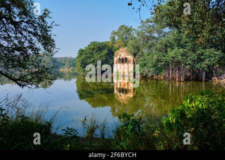Padma Talao lac avec les ruines de fort. Vert tropical et arbres de réserve. Parc national de Ranthambore, Rajasthan, Inde Banque D'Images