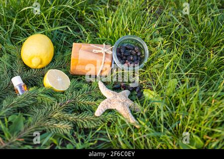 Composition de coquilles, d'étoiles de mer, de savon et de tranches de citron.Sur un fond vert de la nature, espace vide pour la publicité, concept de nettoyage vert Banque D'Images