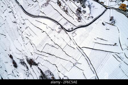 Valtellina (IT) - vignoble à l'étagé avec de la neige fraîche Banque D'Images