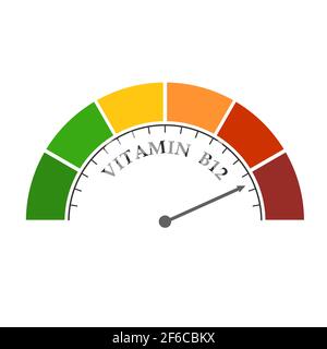 Échelle de gradient. Icône du dispositif de mesure du niveau de vitamine b 12. Enseigne tachymètre, indicateur de vitesse, indicateurs. Elément de jauge d'infographie. Illustration de Vecteur