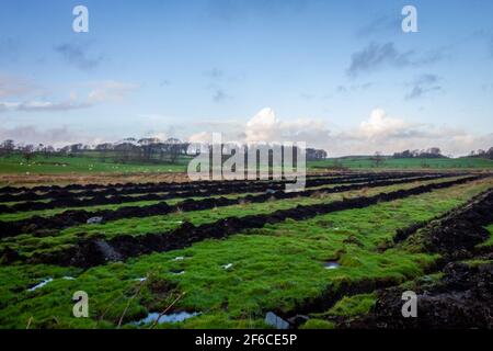 Des rangées fraîchement creusées de fossés de drainage de champ sur une plaine champ agricole Banque D'Images