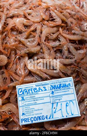 Crevettes fraîches sur le marché des poissons de l'Algarve, Portugal Banque D'Images