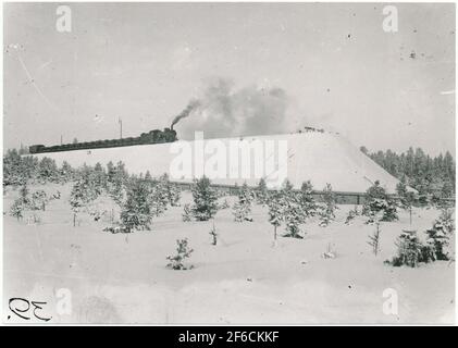 Oreilles de queue de Svartön. Bangård sur Svartön à la gare de Luleå. Déjà en 1883, les travaux de construction ont commencé sur Svartön à Luleå pour la voie ferrée Luleå Gällivare - Luossavaara - Victoriahamn. Il a fallu près de 6 ans avant que le premier train de minerai soit arrivé à Luleå en 1888. La piste a été construite par le rail de la Suède et de la Norvège. Banque D'Images