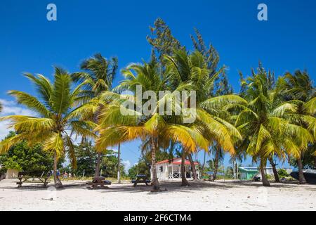 République Dominicaine, Punta Cana, Parque Nacional del Este, Saona Island, Plage au village de pêcheurs de Mano Juan
