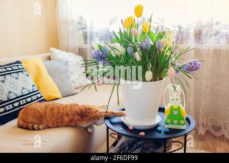 Décoration de Pâques. Chat jouant avec des oeufs par fleurs de printemps dans le pot à la maison. Animaux de compagnie s'amusant sur la table. Intérieur des fêtes Banque D'Images