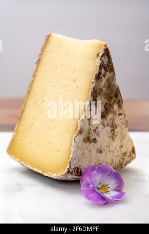 Collection de fromages, tomme de Savoie de Savoie dans les Alpes françaises, fromage de lait de vache doux avec intérieur beige et croûte épaisse gris brunâtre Banque D'Images