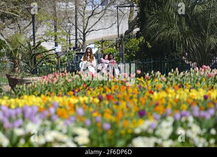 Londres, Angleterre, Royaume-Uni. Les gens se détendent dans les jardins Victoria Embankment le jour de mars le plus chaud depuis plus de 50 ans (30 mars 2021) Banque D'Images