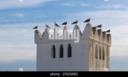 Une tour dans la partie ancienne de la ville au Maroc avec des mouettes perchées sur chaque point. Ciel bleu avec une petite quantité de nuages. Banque D'Images