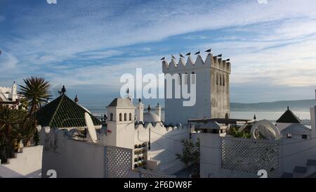 Mouettes perchées sur le toit d'un château comme bâtiment tôt le matin dans la Kasbah de Tanger, au Maroc. Un fond bleu vif du Mediter Banque D'Images