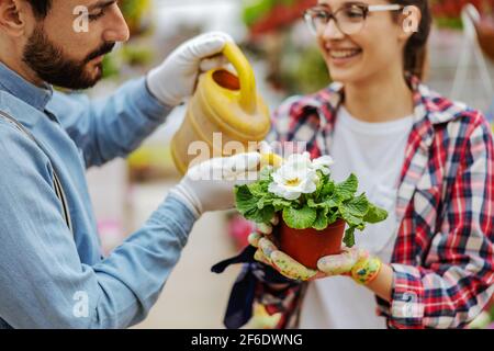 Gros plan pf entrepreneurs prenant soin des fleurs. Femme tenant des fleurs pendant que l'homme l'arrosant. Banque D'Images