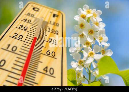 température chaude sur le thermomètre au printemps Banque D'Images