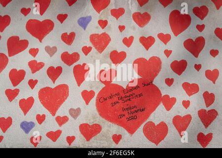 Un détail de coeurs rouges sur le mur qui forme le mur commémoratif national de Covid, un hommage aux plus de 150,000 000 victimes britanniques de la pandémie du coronavirus. Christine Elizabeth Short est mentionnée comme étant en état de succomber en novembre 2020. La famille endeuillée et les amis des victimes de Covid-19 ont commencé à travailler sur le mur situé à l'extérieur de l'hôpital St Thomas, qui fait face au Parlement à Westminster, le 30 mars 2021, à Londres, en Angleterre. L’an dernier, le Premier ministre Boris Johnson a été traité pour Covid à St Thomas. Banque D'Images